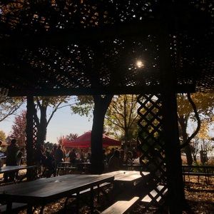 Meet your Posher, Iris